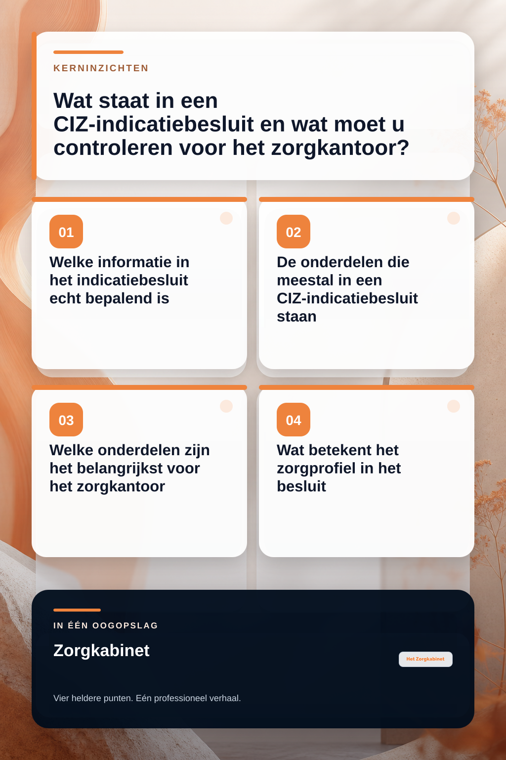 Wat staat in een CIZ-indicatiebesluit en wat moet u controleren voor het zorgkantoor? infographic