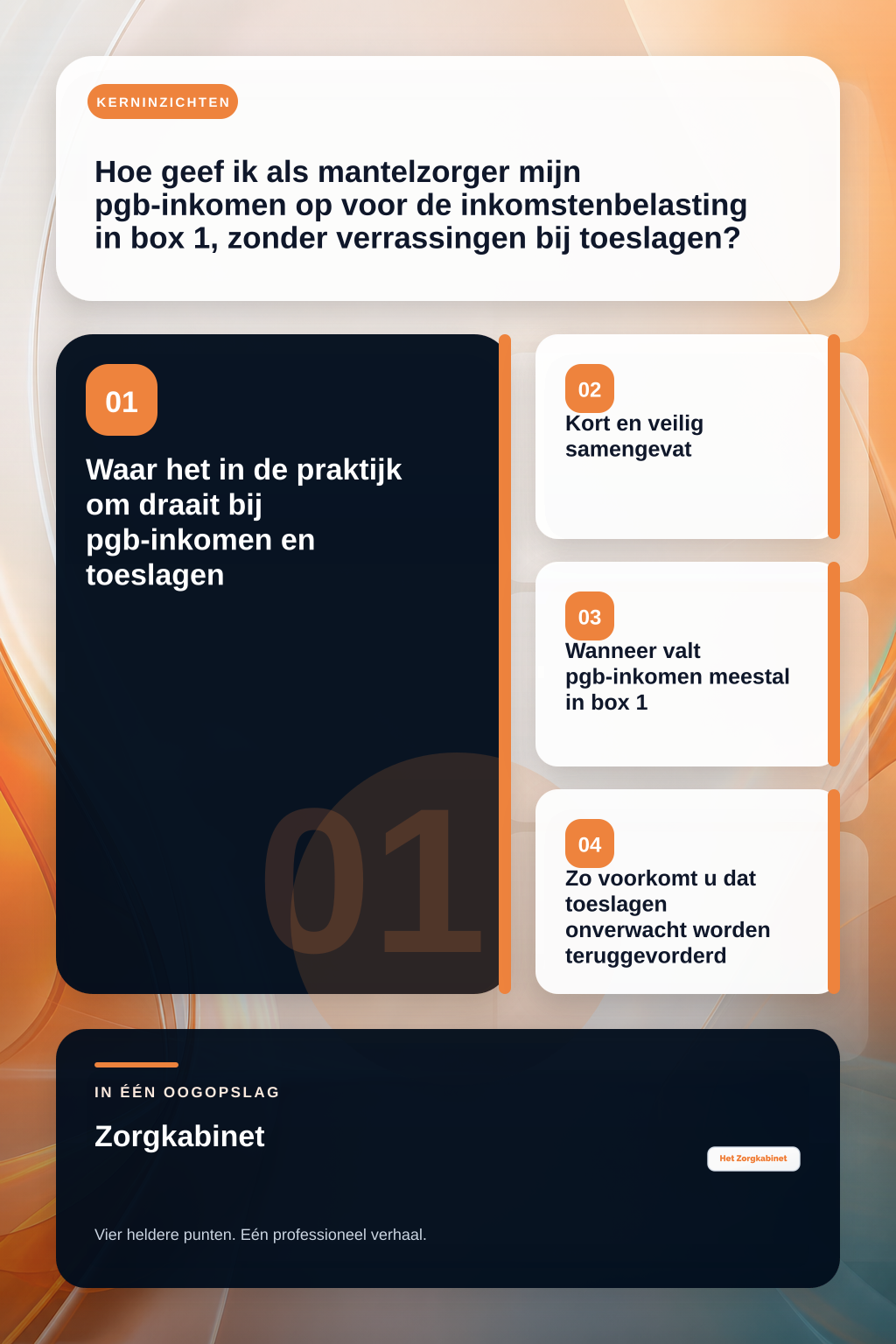 Hoe geef ik als mantelzorger mijn pgb-inkomen op voor de inkomstenbelasting in box 1, zonder verrassingen bij toeslagen? infographic